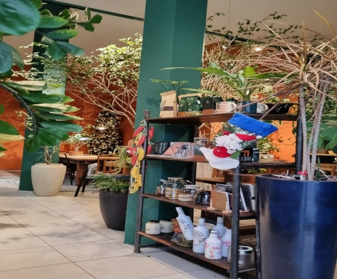 Trilha serena em meio ao verde