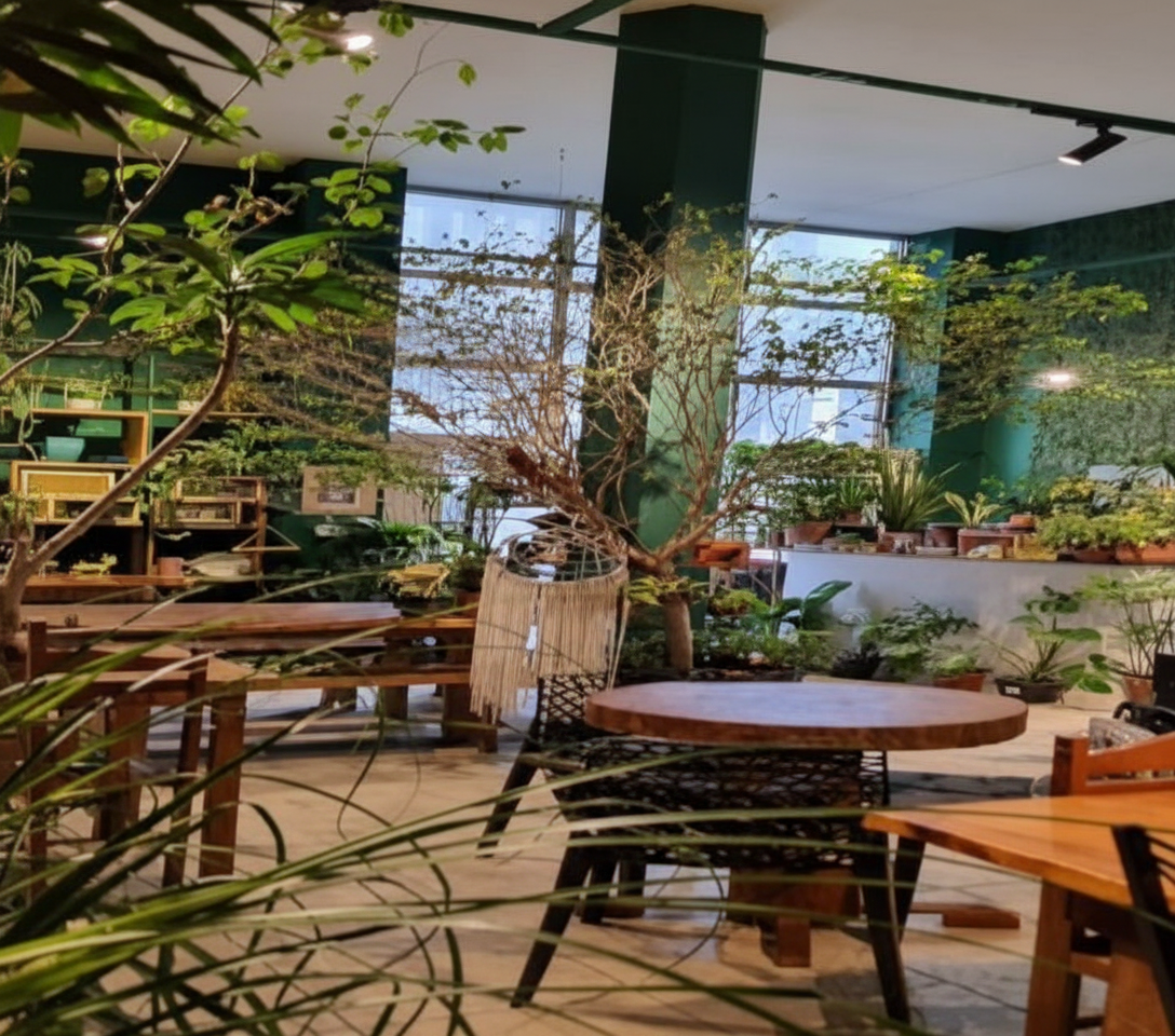 Raio de luz atravessando a floresta